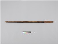 藏品(槍)的圖片